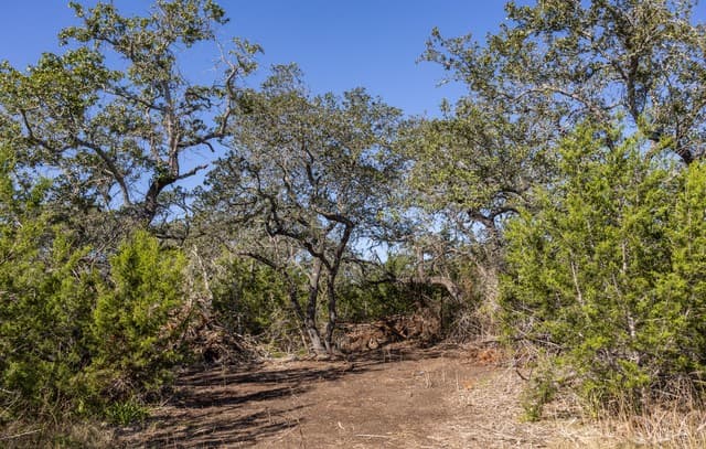 rental at BLOCK 1, LOT 11 Standing Tall in Boerne, TX — photo 5