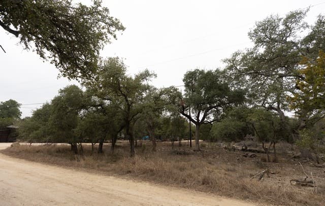rental at TBD Tbd in Spring Branch, TX — photo 1