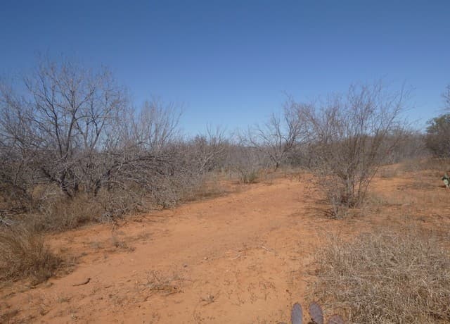 rental at 4253 E Fm 462 in Moore, TX — photo 3