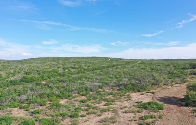 rental at 00 Fm 140 in Pearsall, TX — photo 1
