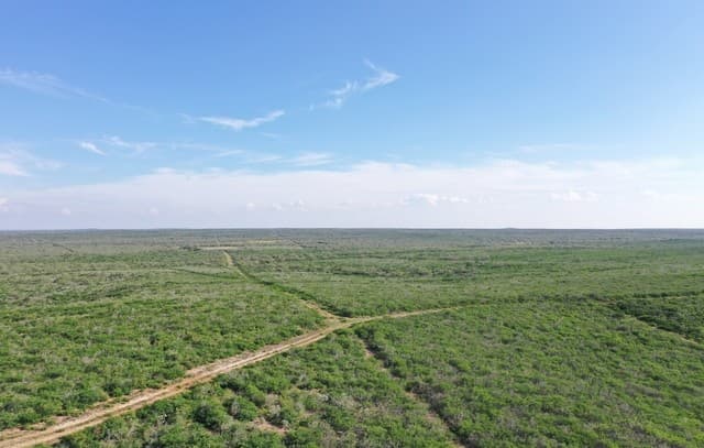 rental at 00 Fm 140 in Pearsall, TX — photo 5