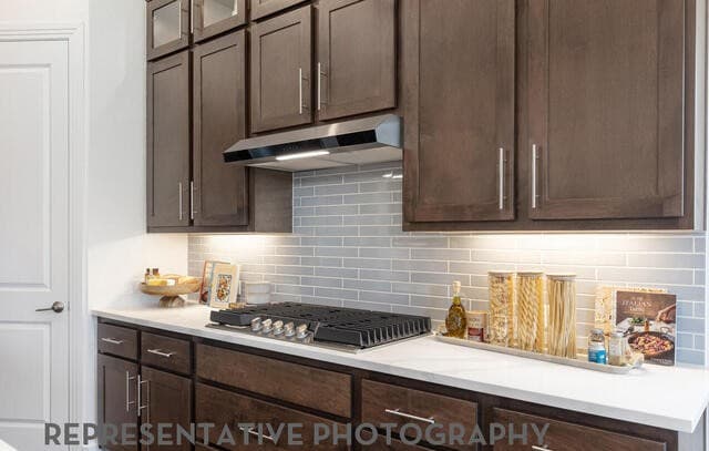4-bedroom rental at 221 Gazelle Point in Cibolo, TX — photo 2