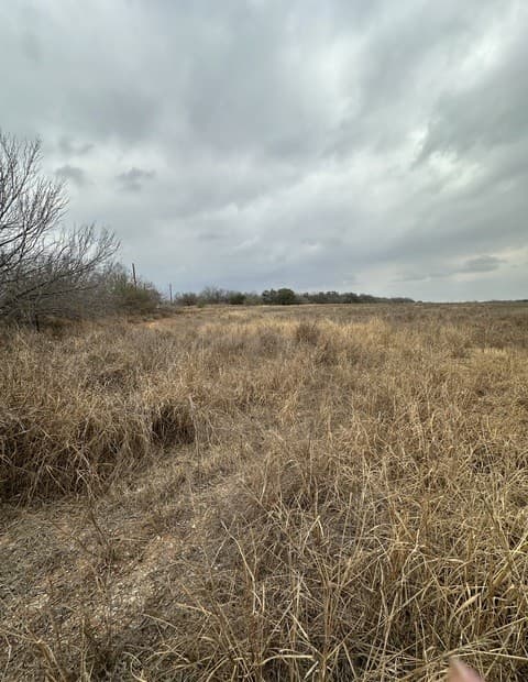 rental at 000 E Fm 462 in Moore, TX — photo 3