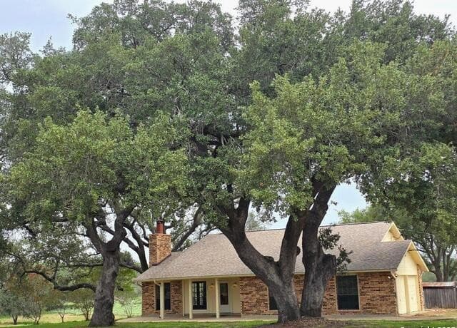 3-bedroom rental at 340 Joy Dr. in San Antonio, TX — photo 2