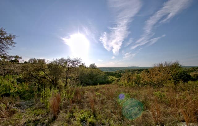 rental at 162 Zinnia in Spring Branch, TX — photo 1