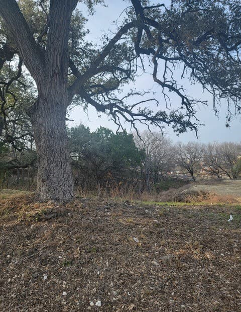 rental at 14922 Medusa in Selma, TX — photo 1