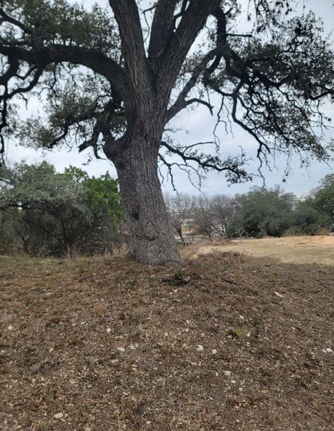 rental at 14922 Medusa in Selma, TX — photo 2