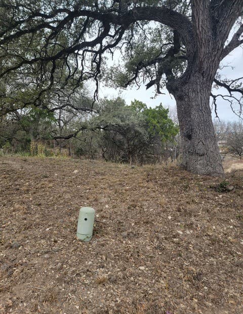 rental at 14922 Medusa in Selma, TX — photo 3