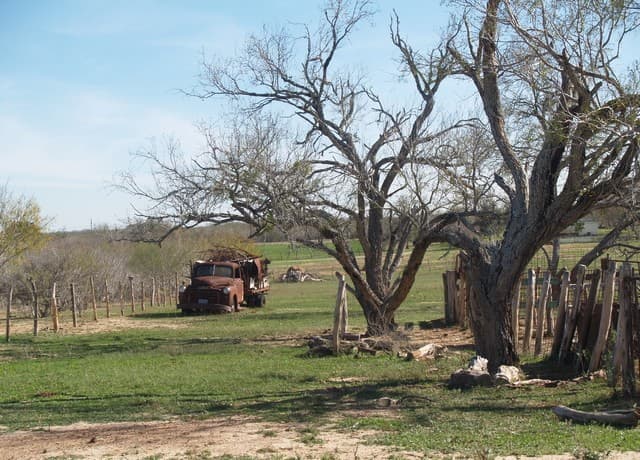 rental at TBD 10 AC Fm 539 in Seguin, TX — photo 2