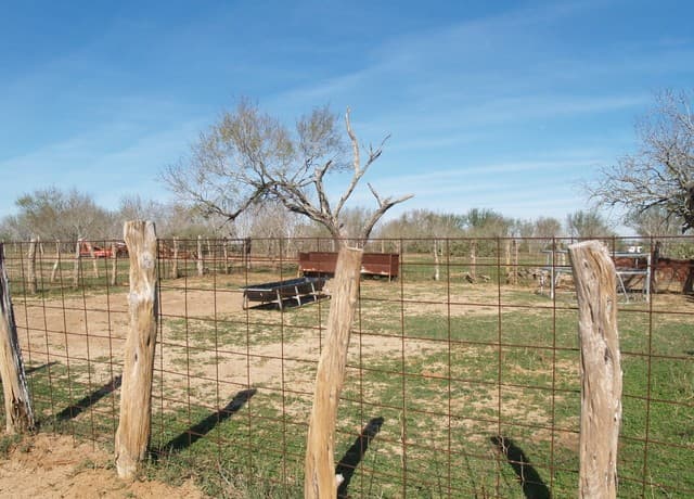 rental at TBD 10 AC Fm 539 in Seguin, TX — photo 3