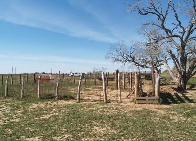 rental at TBD 10 AC Fm 539 in Seguin, TX — photo 5
