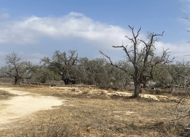 rental at 1790 W Goodwin in Pleasanton, TX — photo 4