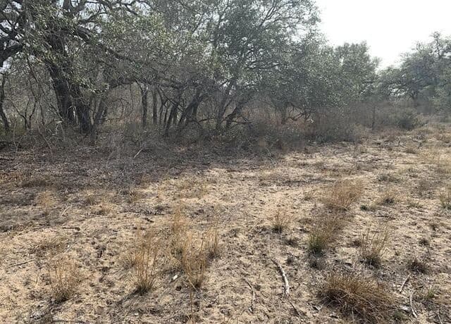 rental at 00 Cr 6719 in Natalia, TX — photo 2