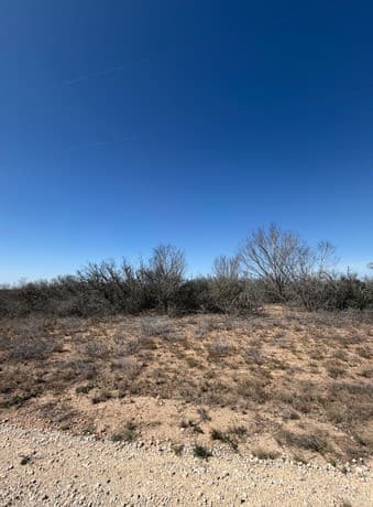 rental at 254 Frio Estates Dr in Moore, TX — photo 2