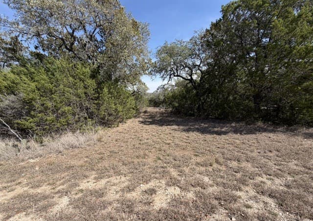 rental at 310 Spring in Spring Branch, TX — photo 1