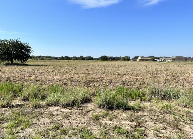 rental at 148 Colt in Natalia, TX — photo 4