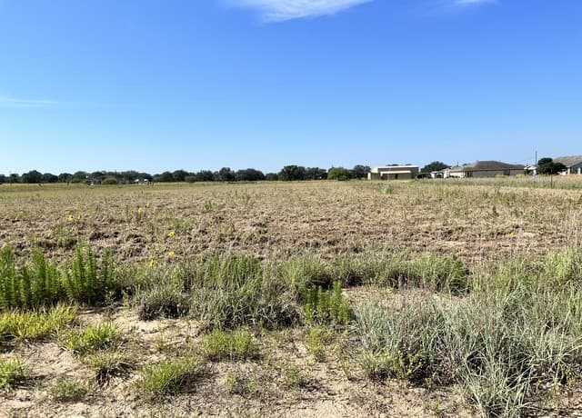 rental at 148 Colt in Natalia, TX — photo 5