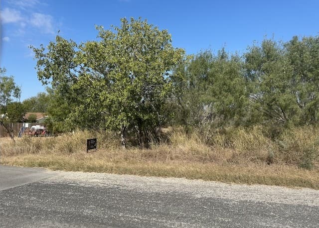 rental at TBD Olive in Jourdanton, TX — photo 2