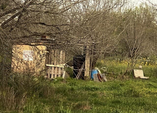 rental at 15750 Shepherd Rd in Atascosa, TX — photo 5
