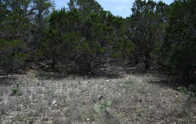 rental at 135 Agarita in Spring Branch, TX — photo 2