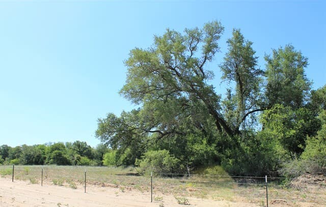 rental at 1163 W Fm 476 in Somerset, TX — photo 1