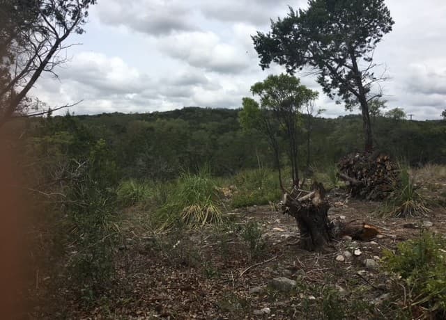rental at LOT 195 County Road 2801 E in Mico, TX — photo 4