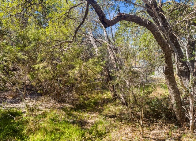 rental at 1738 Cave Drive in Spring Branch, TX — photo 5