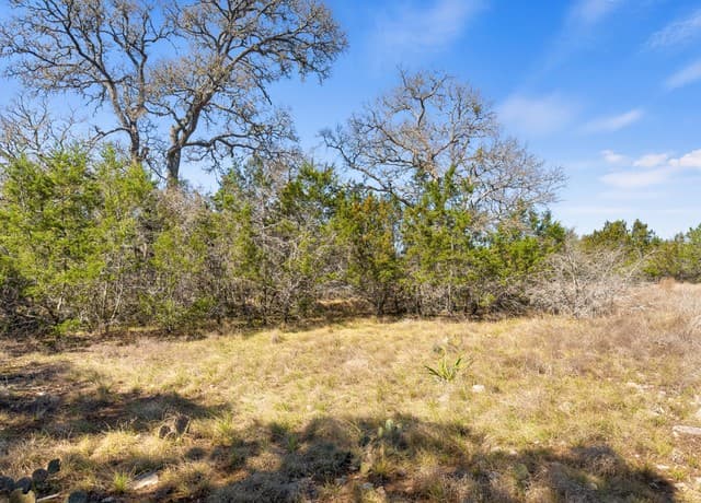 rental at 535 Left Fork Place in Spring Branch, TX — photo 1