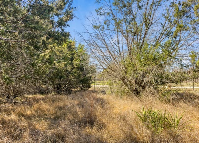 rental at 535 Left Fork Place in Spring Branch, TX — photo 4