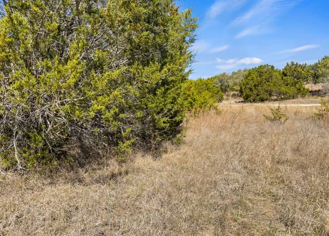 rental at 535 Left Fork Place in Spring Branch, TX — photo 5