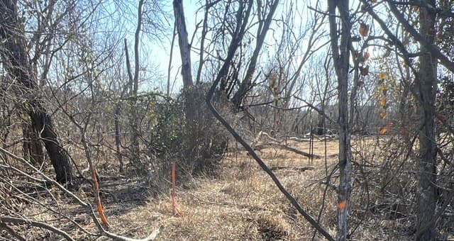 rental at TBD Ess Rd in Atascosa, TX — photo 2