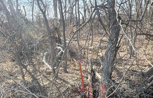rental at TBD Ess Rd in Atascosa, TX — photo 4