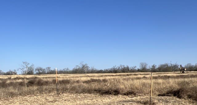 rental at TBD Ess Rd in Atascosa, TX — photo 5