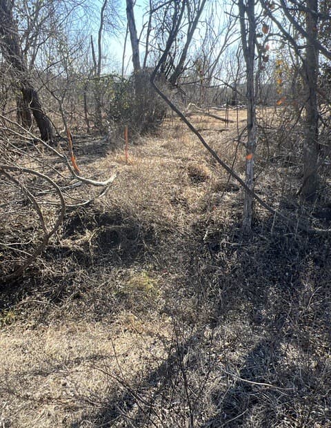 rental at 0 Ess Rd in Atascosa, TX — photo 2