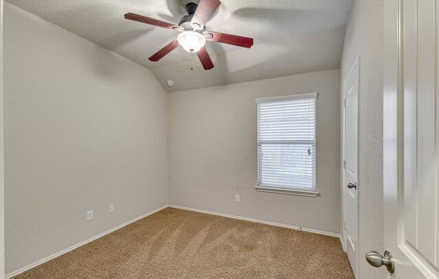 3-bedroom rental at 348 Buckboard in Cibolo, TX — photo 5