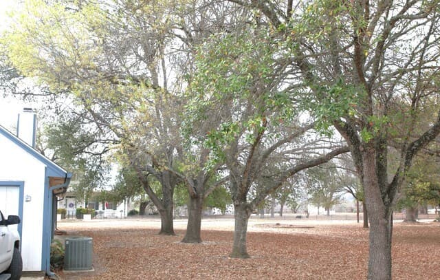 3-bedroom rental at 802 Athens in Castroville, TX — photo 4