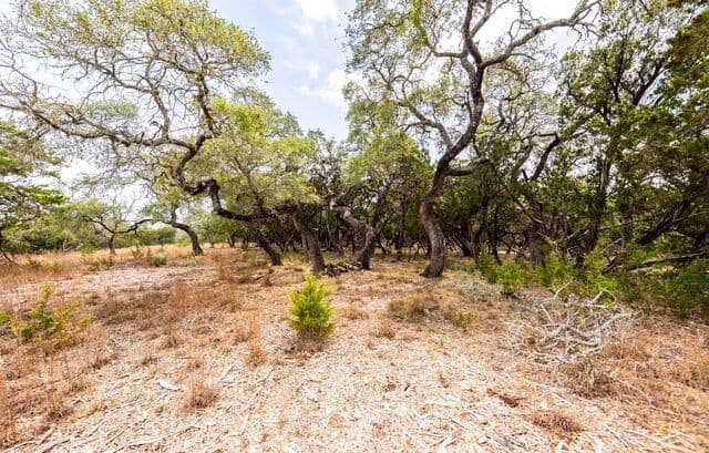 rental at LOT 28 Rio Cordillera in Boerne, TX — photo 4