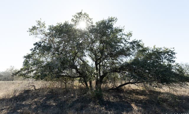 rental at 2739 Cr 770 in Natalia, TX — photo 2