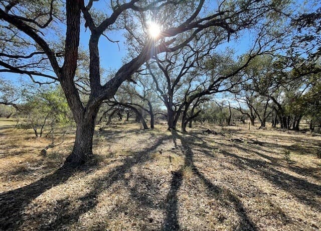 rental at 1384 County Road 326 in Adkins, TX — photo 2