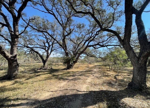 rental at 1384 County Road 326 in Adkins, TX — photo 3