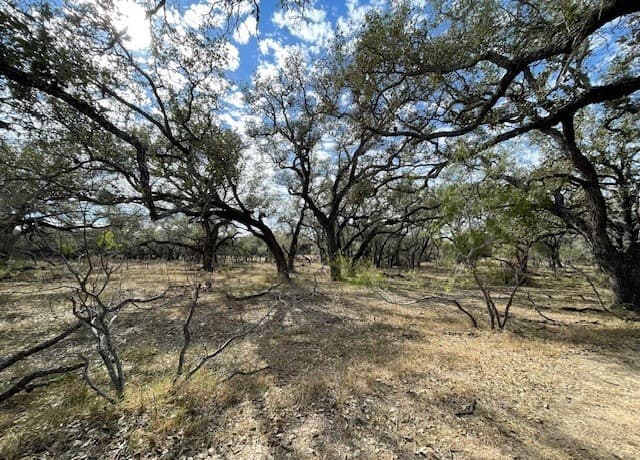 rental at 1384 County Road 326 in Adkins, TX — photo 4