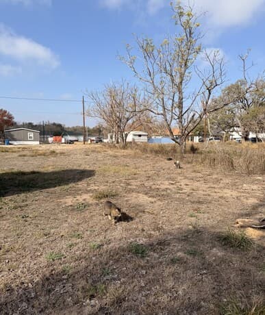 rental at 408 Harl in Pleasanton, TX — photo 2