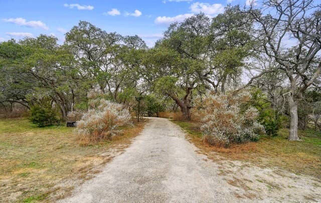 3-bedroom rental at 2147 Tejas Trail in Blanco, TX — photo 4
