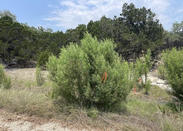 rental at 908 Serene in Spring Branch, TX — photo 2