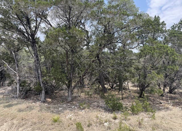 rental at 908 Serene in Spring Branch, TX — photo 3