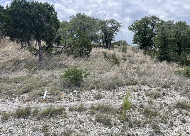 rental at 218 Restless Wind in Spring Branch, TX — photo 4