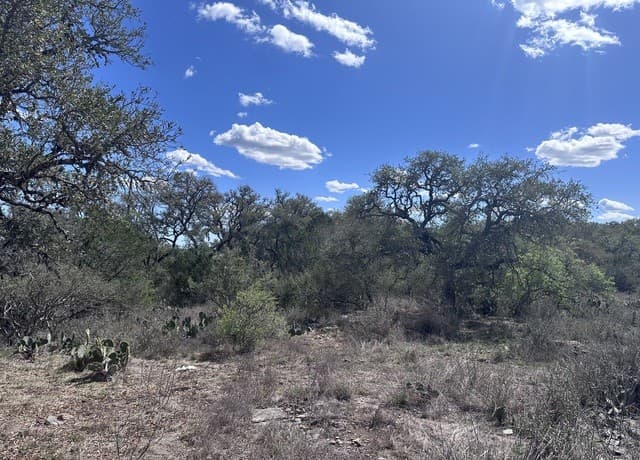rental at 119 Cartama in Spring Branch, TX — photo 4