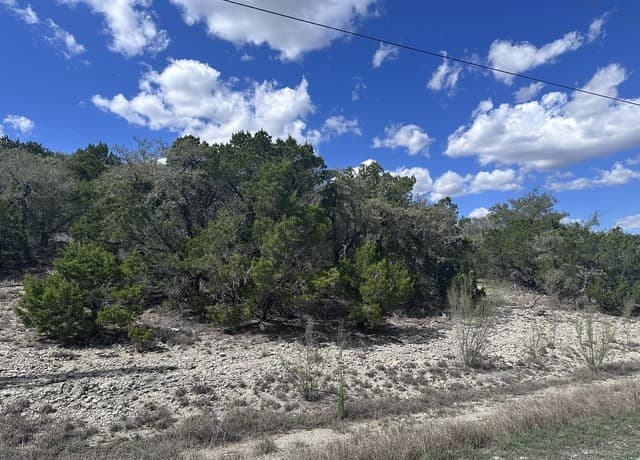 rental at 214 Restless Wind in Spring Branch, TX — photo 4