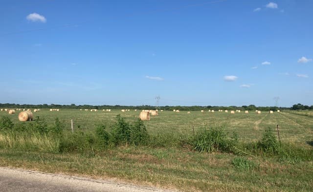 rental at 0 County Road 117 in Floresville, TX — photo 2