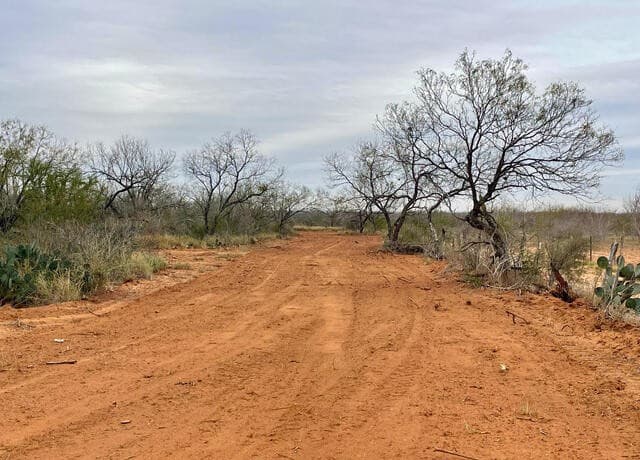 rental at 7.55 ACRES Cr 2701 in Bigfoot, TX — photo 1